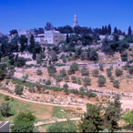 Colina del Mal Consejo